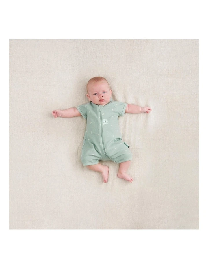 Flash Sale π ErgoPouch Layers Short Sleeve Baby Organic Cotton TOG 0.2 Size 0-3 Months Sage π - Image 5