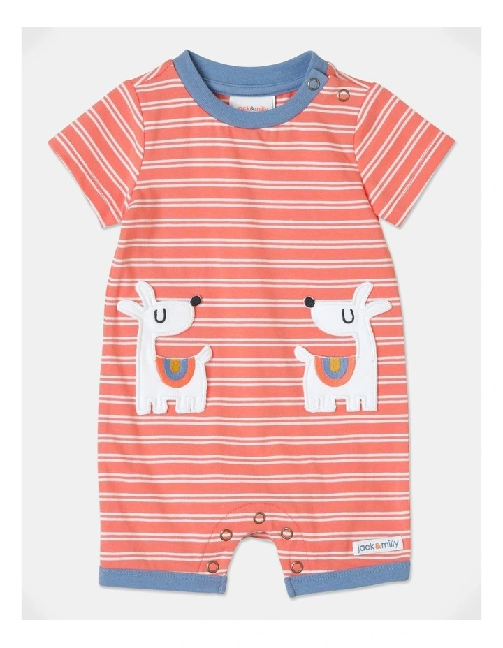 Budget π₯ Jack & Milly Sam Stripe Romper In Orange π