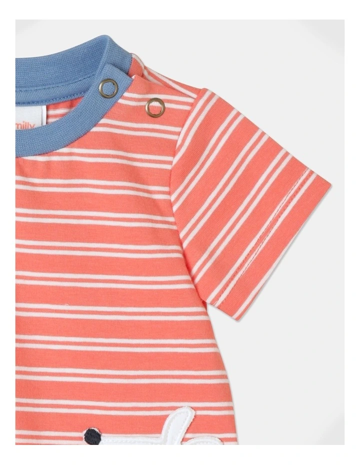 Budget π₯ Jack & Milly Sam Stripe Romper In Orange π - Image 3
